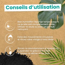 Eponge Konjac Visage Charbon - Feel natural